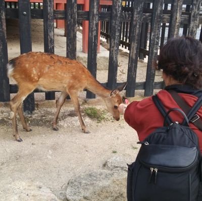 kabu_ba's profile picture. 保守おばあさんの政治経済つぶやき。
保守の前提：国体・伝統・道徳・秩序を重視
よき日本を守りたい。