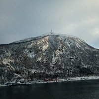 alter seaman (@alterseaman3) 's Twitter Profile