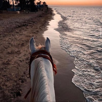 Fh1440208280's profile picture. ( لَا تَدۡرِی لَعَلَّ ٱللَّهَ یُحۡدِثُ بَعۡدَ ذَ ٰ⁠لِكَ أَمۡرࣰا)