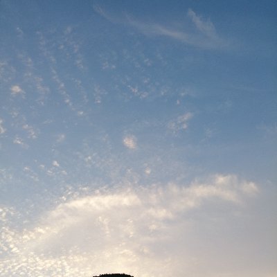 武士道とは死ぬことと見つけたり それは死を覚悟して誰かの幸せを願い行動すること 誰かに強制されるのではなく 自らが感じ 選択し 自由に決めること 誠実に信念を貫き 弱きを守り強きをくじく。 義を見て為ざるは勇無きなり。全ての選択には肯定的な意図がある。とりあえず争わず、やれることをやるだけ。