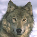 Anna Prieto - @Annatrobadora - Twitter