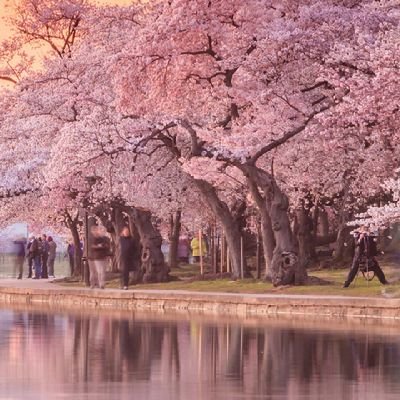 WendmanehJ's profile picture. 