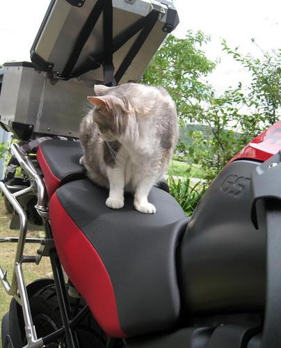 さらばR1200GSA 14年間ありがとう

https://t.co/4VCMJxvUzW