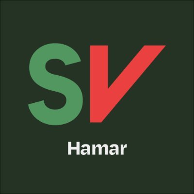 Hamar SV ledes av Anne Bi Hoffsten og har to representanter i kommunestyret i Hamar