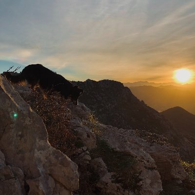 olatzibarretxe1's profile picture. 