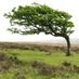 Moorland Partnership (@heartofexmoor) Twitter profile photo