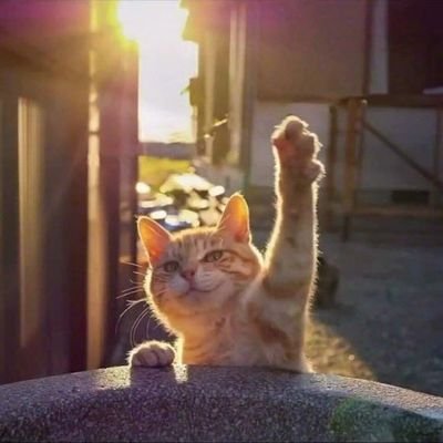 ンハァーーッ！