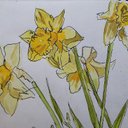 James Spall - @JamesSpall3 - Twitter