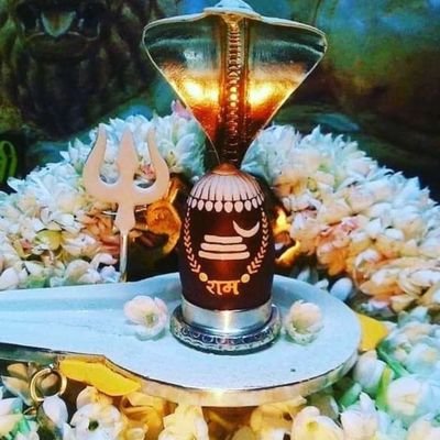 GSWAMI18's profile picture. I AM INDIAN