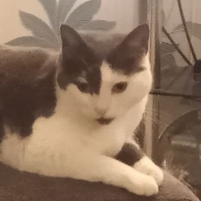 EMac2315's profile picture. It's Me!!!