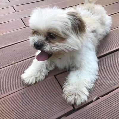 acdg85106096's profile picture. 人間の鏡のgbxである⊙∀⊙！
固ツイみてね