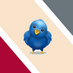 🌎 Observatório de Relações Internacionais NECCINT (@neccint) Twitter profile photo