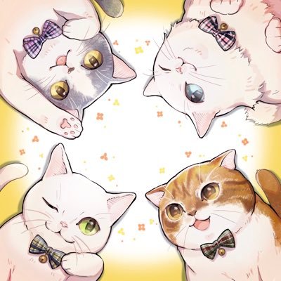 haruさんのプロフィール画像