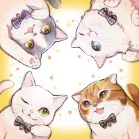 haru (@takihaha) 's Twitter Profile