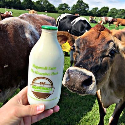 Small family dairy farm producing  creamy Raw Milk, fresh milk, butter, cream and ice cream. Delivering to your doorsteps in Poynton and all surrounding areas❤️