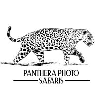 Panthera Photo Safaris(@PantheraPhoto) 's Twitter Profile Photo