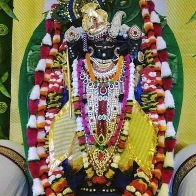 SingUdia's profile picture. मारों राजस्थान