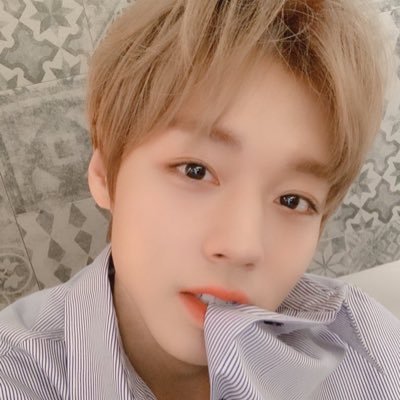 Limme529さんのプロフィール画像