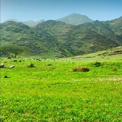 شاعر.ومتذوق لشعر وتابع شعراء واتعلم من افكارهم وبدعاتهم