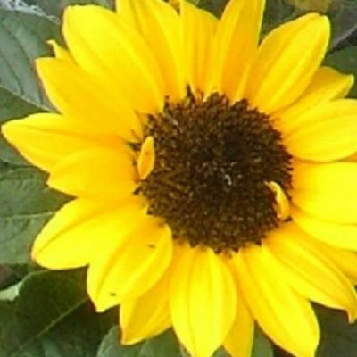 千鶴さんのプロフィール画像