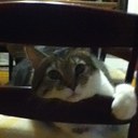 Catherine Gingras - @catherineg007 - Twitter