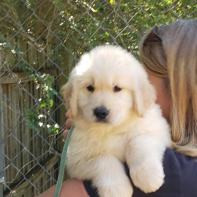sunkystpups's profile picture. Can be your bestest friend until you do me wrong.  Very giving person who likes to help everyone.