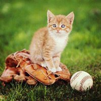 カミスポーツ・プラス Waku (@wakuchan8908) 's Twitter Profile Photo カミスポーツ・プラス Waku (@wakuchan8908) 's Twitter Profile Photo