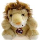 Peter Lion - @Piter_lion - Twitter