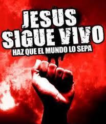 misionipuc's profile picture. 