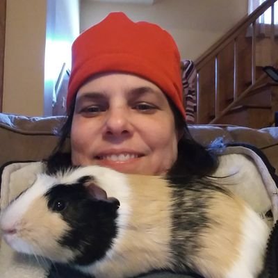 Melissa10170579's profile picture. guinea pig mom
