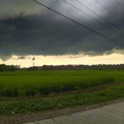 Infinixnote71's profile picture. 