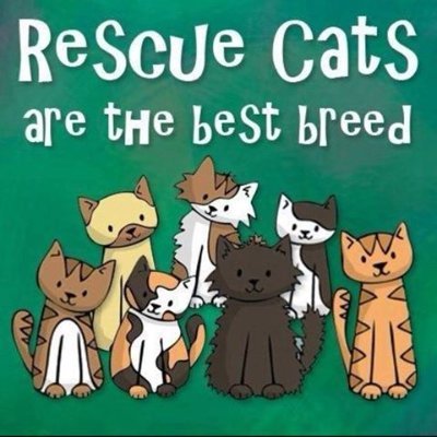 Located in Long Island NY. We are dedicated and committed to rescuing abandoned and homeless cats and those in danger of abuse and neglect.