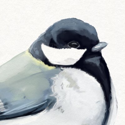 kiriさんのプロフィール画像