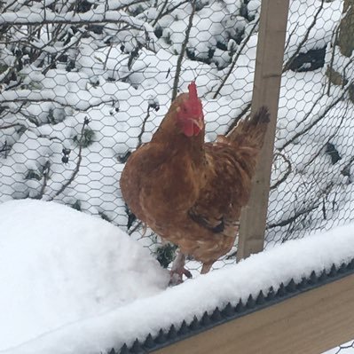 PaulineMenzies's profile picture. 