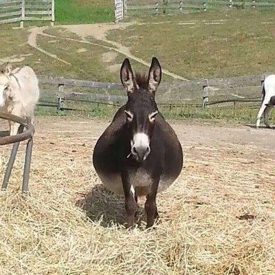 dontblinkk_'s profile picture. She/her✨