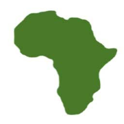 A fund dedicated to investing in renewable energy and energy efficiency in Africa