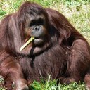 Greg Weldon - @daddio44boys - Twitter