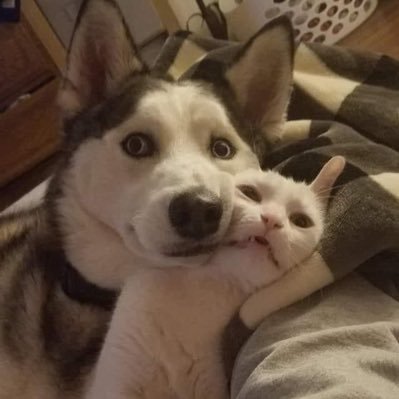 zerotyyy's profile picture. 🧐