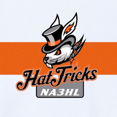 Official twitter account of the Danbury Jr. Hat Tricks Tier III Junior hockey team. Proud members of the @NA3HL.