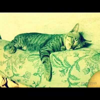 NPott28's profile picture. Lost. Begin Again.