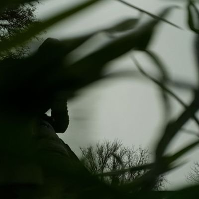 simjoorr's profile picture. ‏‏سنایی نی‌ام بوعلی سیمجورم