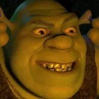 Shrek Bets CS:GO (@shrekbetscsgo) 's Twitter Profile