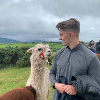 danbrace_'s profile picture. 