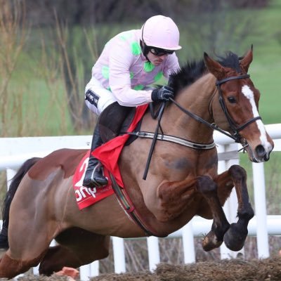TerryGibbs55's profile picture. horse racing and football punter