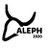 ALEPH2020