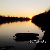 uffailnick.ancora (@uffailnicka) 's Twitter Profile