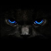 El Gato Negro.(@Catblack1978R) 's Twitter Profile Photo