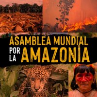 Asamblea Mundial por la Amazonía(@asambleamazonia) 's Twitter Profileg