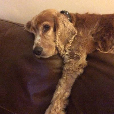 PHwomantype's profile picture. 