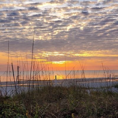 Londongirl19761's profile picture. 